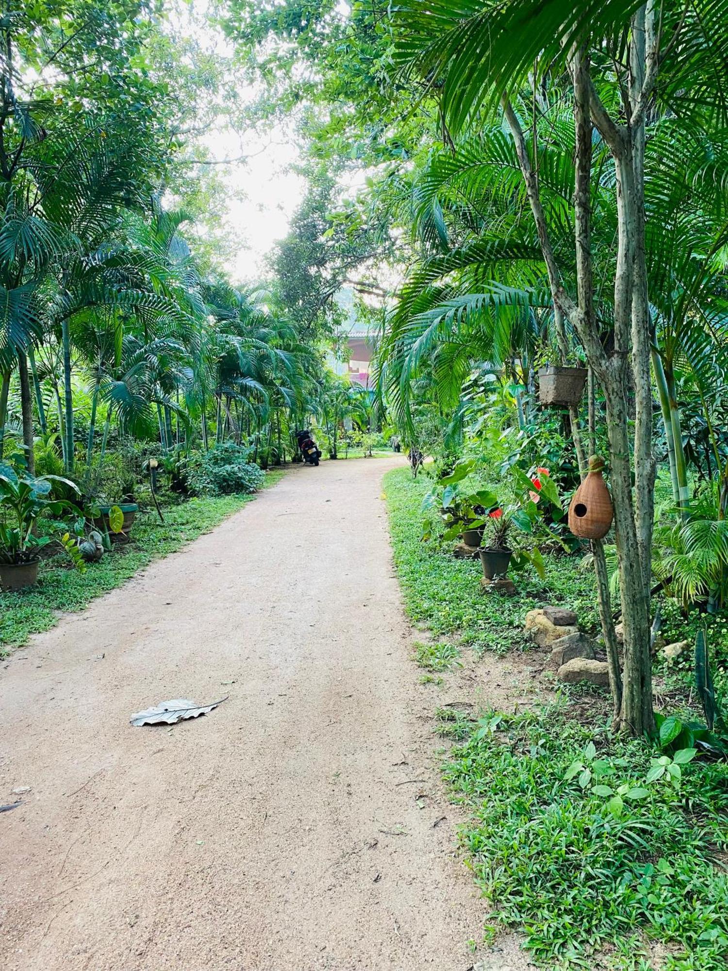 Sigiriya Ranasinghe Nature Villa Exterior photo