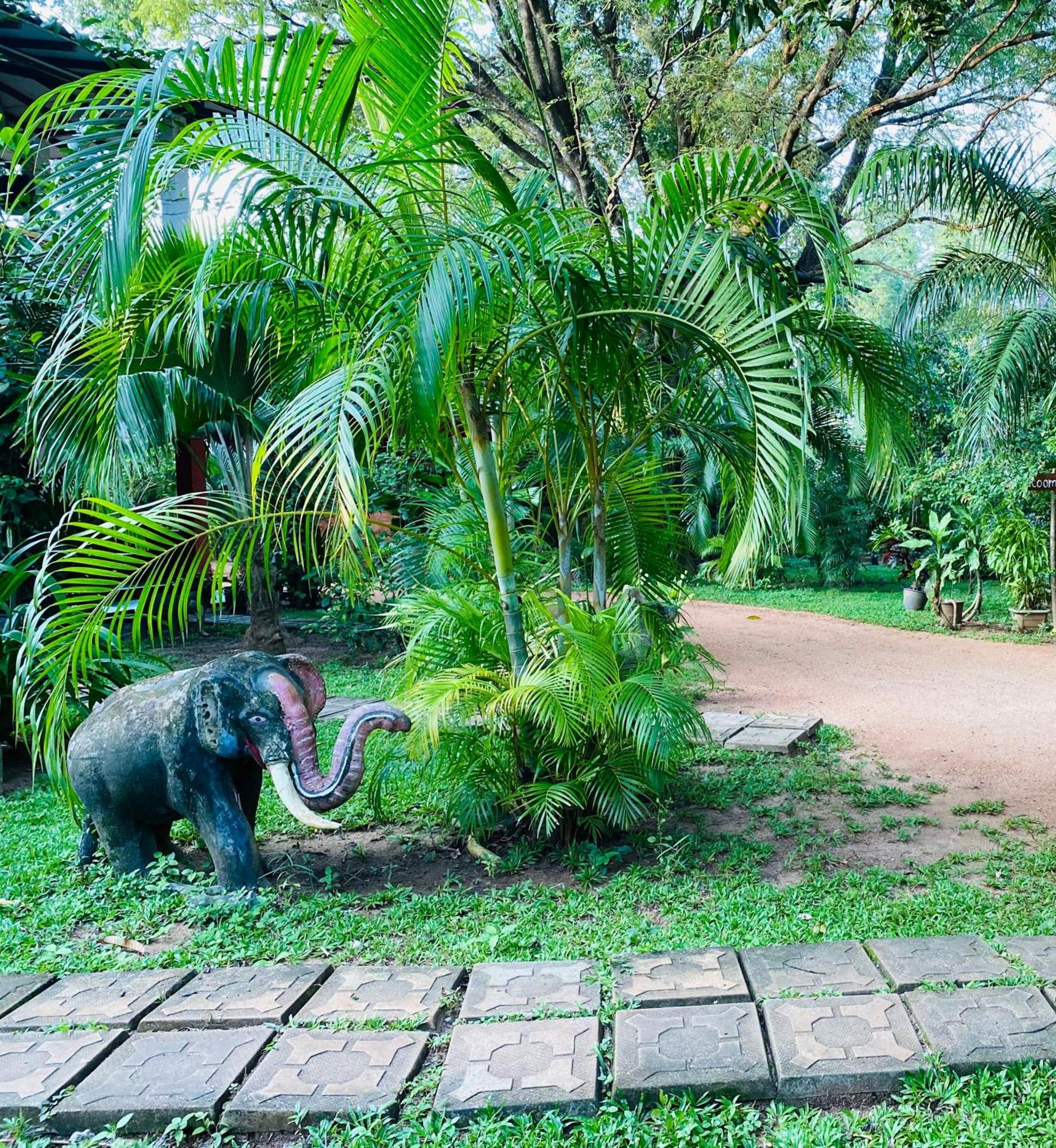 Sigiriya Ranasinghe Nature Villa Exterior photo